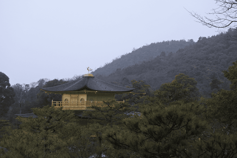 DSC_0495.png DSC_0495.png