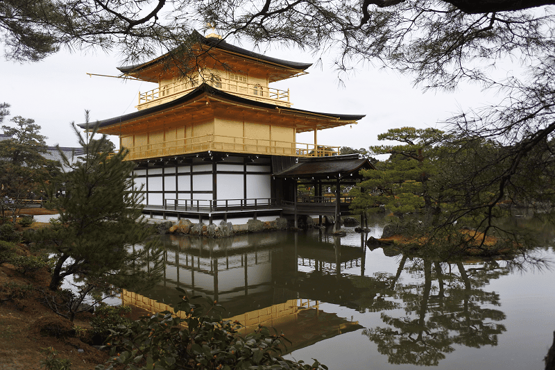 DSC_0490.png DSC_0490.png