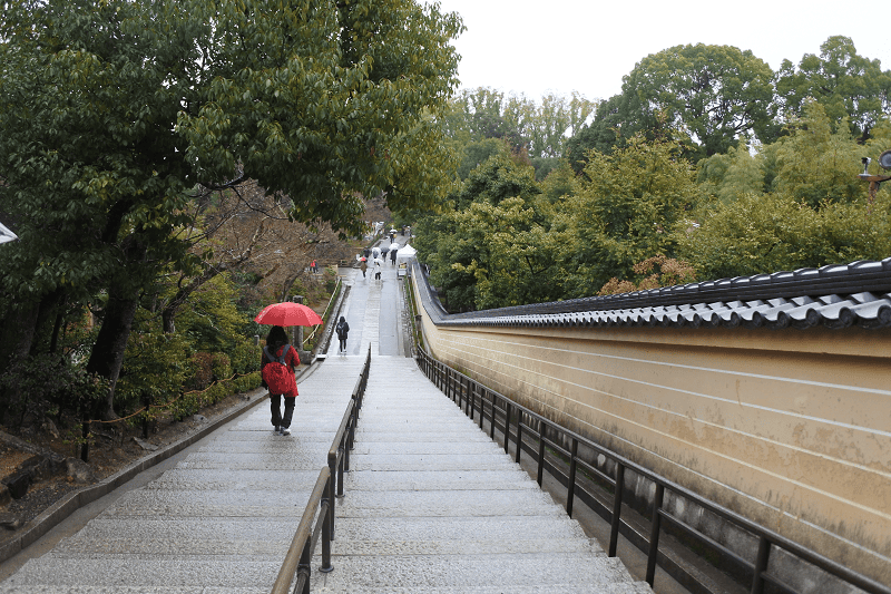 DSC_0501.png DSC_0501.png