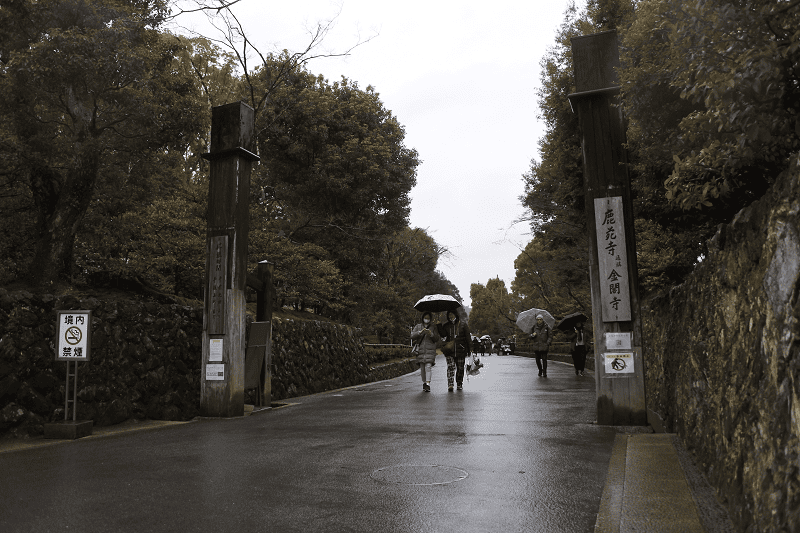 DSC_0504.png DSC_0504.png