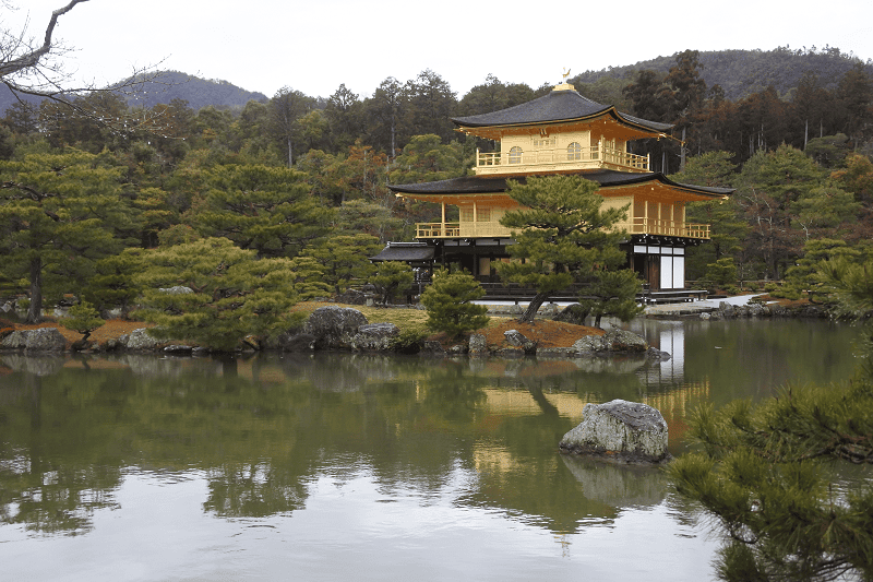 DSC_0462.png DSC_0462.png