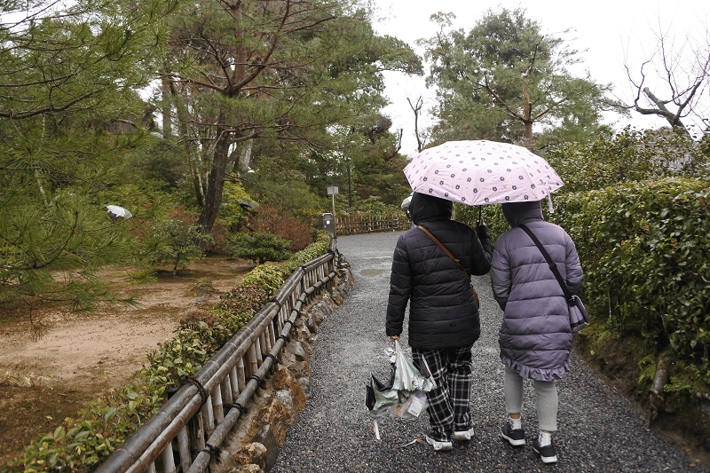 DSC_0493.png DSC_0493.png