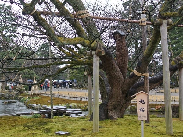 DSC_9390.jpg DSC_9390.jpg