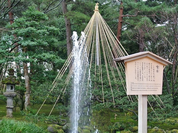 DSC_9369.jpg DSC_9369.jpg