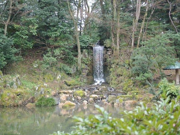 DSC_9361.jpg DSC_9361.jpg