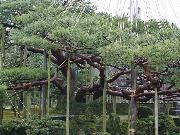 DSC_9396.jpg DSC_9396.jpg