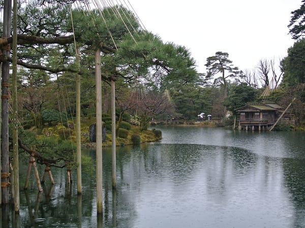 DSC_9388.jpg DSC_9388.jpg