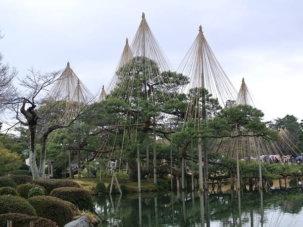 DSC_9374.jpg DSC_9374.jpg