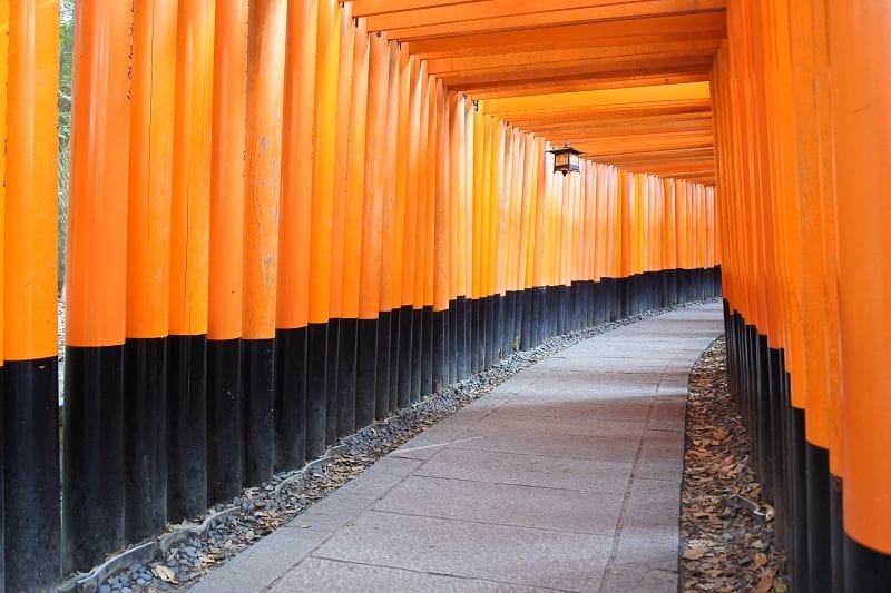 DSC_4617.jpg DSC_4617.jpg