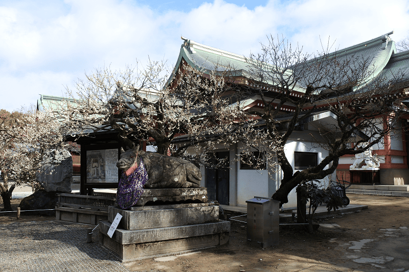【京都上京】祭祀學問之神的北野天滿宮許多考生前來祈求合格