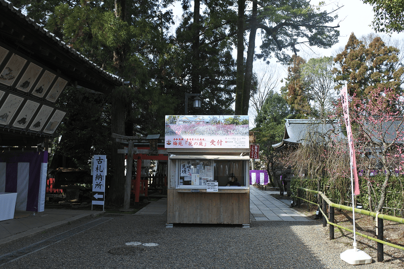 【京都上京】祭祀學問之神的北野天滿宮許多考生前來祈求合格
