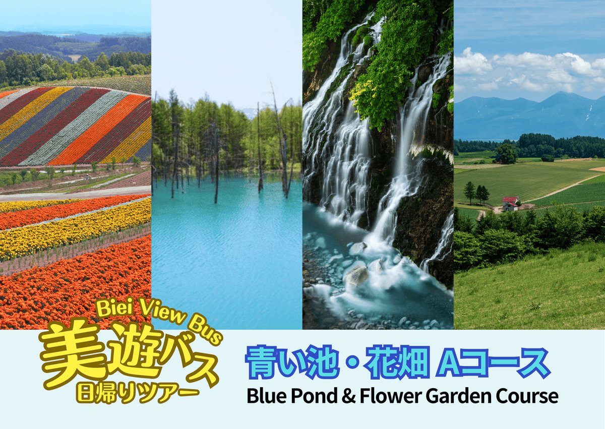 /tmp/phpM0ieSp /tmp/phpM0ieSp