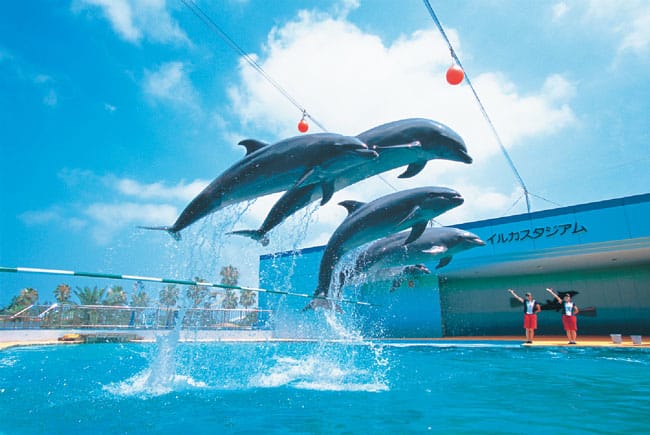 【票券整理】名鐵優惠票券5張附贈名鐵一日券套票簡介202