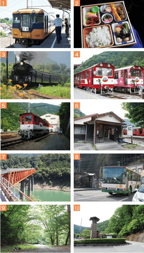 【優惠車票】大井川鐵道推出的各種優惠乘車券+新推出的開運狸周