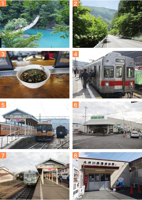 【優惠車票】大井川鐵道推出的各種優惠乘車券+新推出的開運狸周