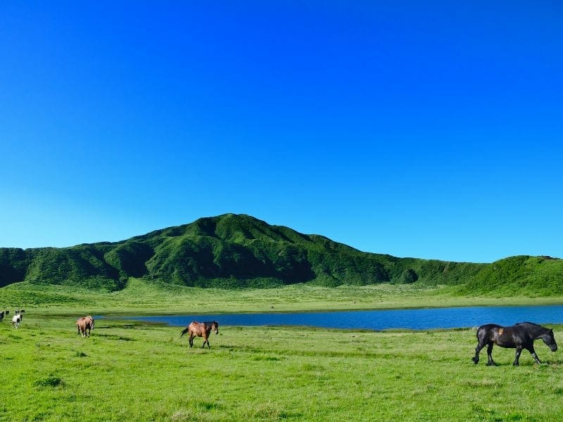 【熊本阿蘇】期間限定的觀光巴士