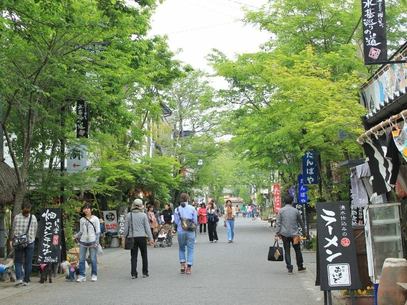 【熊本阿蘇】期間限定的觀光巴士