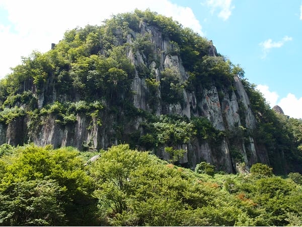 【大分中津】搭乘大分交通定期觀光巴士前往耶馬溪、省時又便利