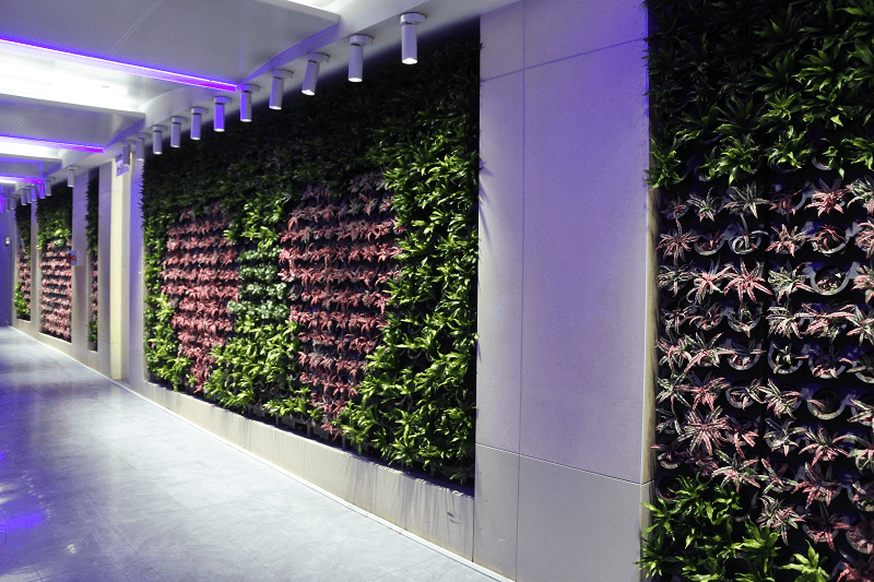 【廉航體驗】搭乘虎航從岡山機場入境&福岡機場出境