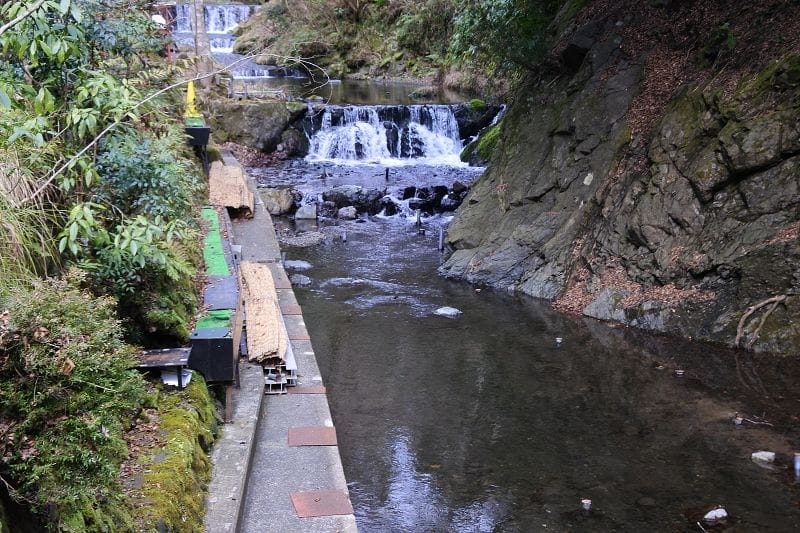 【京都鞍馬貴船】貴船神社夏天吃流水麵、秋天賞楓、冬天看階