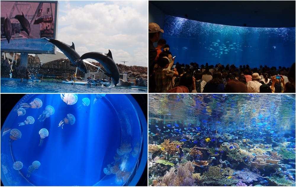 【推薦票券】愛知&名古屋周遊觀光護照2025年最新版、4, /tmp/phpHRUutA