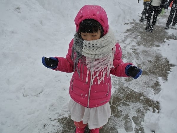 【行前準備】前往日本自助旅行之前所必須作的功課以日本中部地