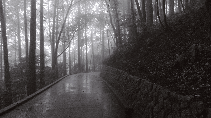 【山口岩國】在大雨中造訪百大名城之岩國城