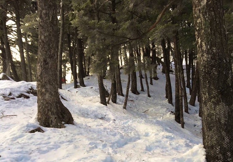 【聖地巡禮】鬼滅之刃無限列車篇電影版屢創紀錄粉絲必訪8大景