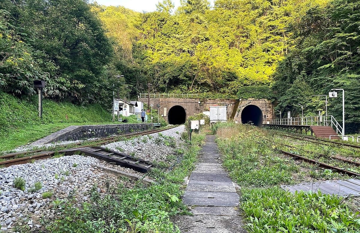 【排行調查】位於深山野林之中的日本秘境車站排行榜這種地方真