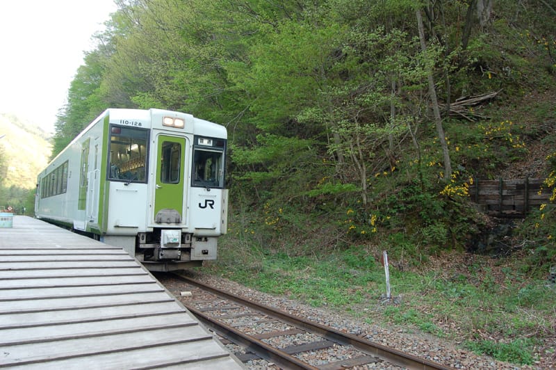 【排行調查】位於深山野林之中的日本秘境車站排行榜這種地方真
