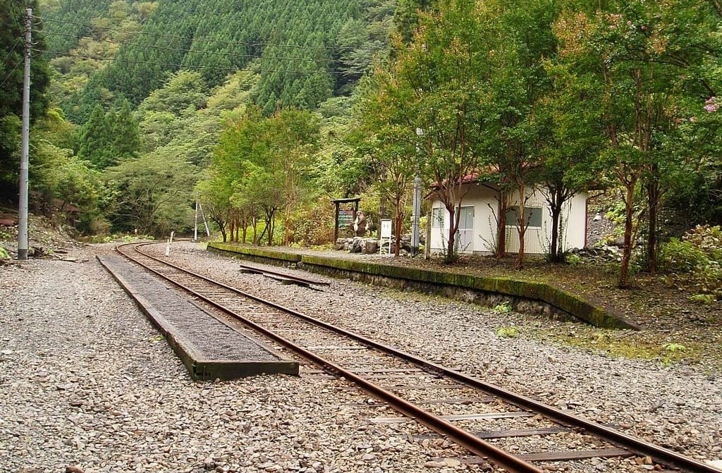 【排行調查】位於深山野林之中的日本秘境車站排行榜這種地方真