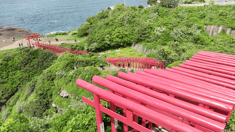 【山口長門】搭乘觀光巴士福之號一次造訪角島大橋及元乃隅神社