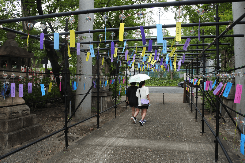 【名古屋】位於市區的若宮八幡社每年夏季所舉辦為期2個月的風