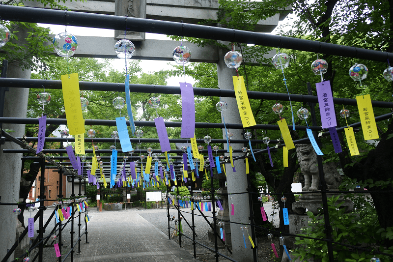 【名古屋】位於市區的若宮八幡社每年夏季所舉辦為期2個月的風