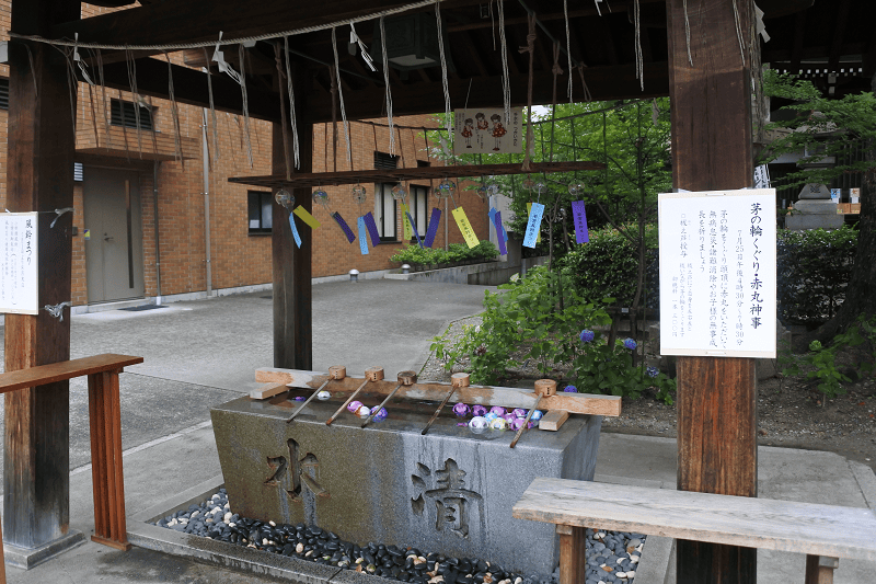 【名古屋】位於市區的若宮八幡社每年夏季所舉辦為期2個月的風