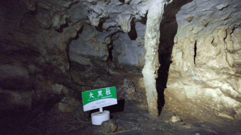 【山口美禰】山口縣最知名的景點秋芳洞日本三大鐘乳之一、高