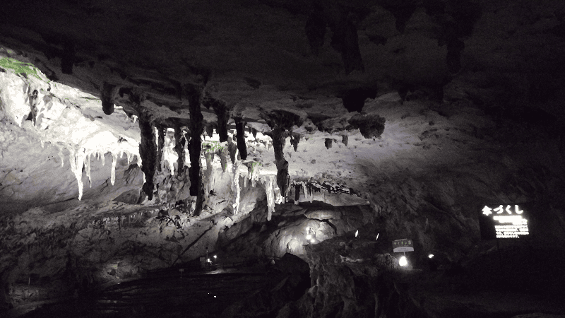 【山口美禰】山口縣最知名的景點秋芳洞日本三大鐘乳之一、高
