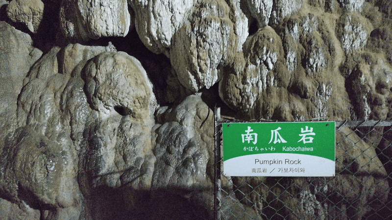 【山口美禰】山口縣最知名的景點秋芳洞日本三大鐘乳之一、高