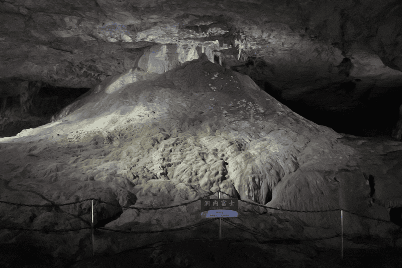 【山口美禰】山口縣最知名的景點秋芳洞日本三大鐘乳之一、高