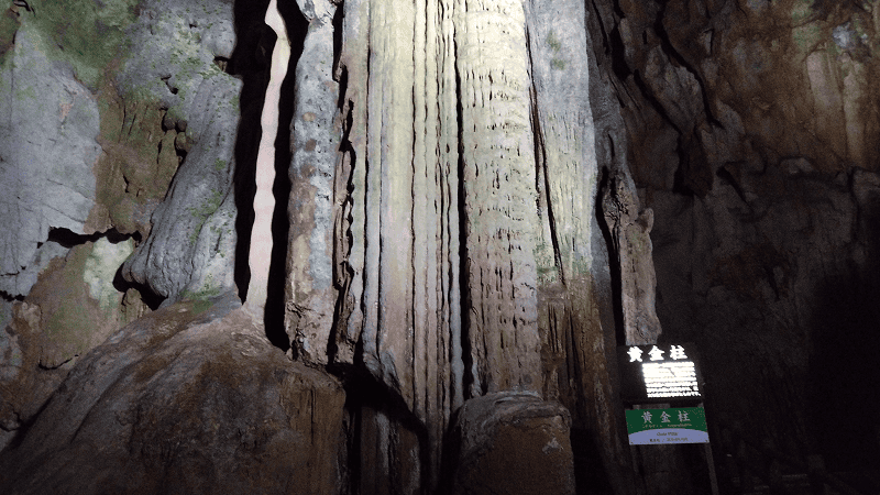 【山口美禰】山口縣最知名的景點秋芳洞日本三大鐘乳之一、高