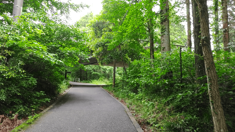 【山口美禰】山口縣最知名的景點秋芳洞日本三大鐘乳之一、高