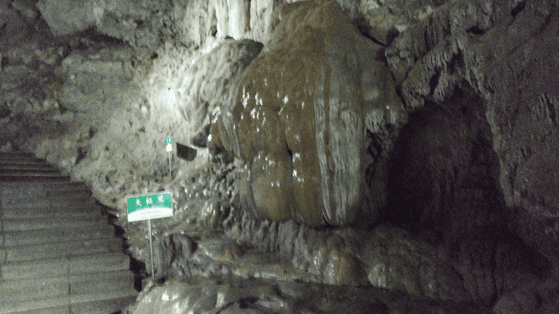 【山口美禰】山口縣最知名的景點秋芳洞日本三大鐘乳之一、高
