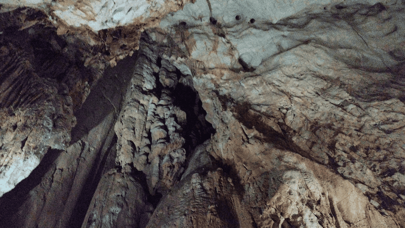 【山口美禰】山口縣最知名的景點秋芳洞日本三大鐘乳之一、高