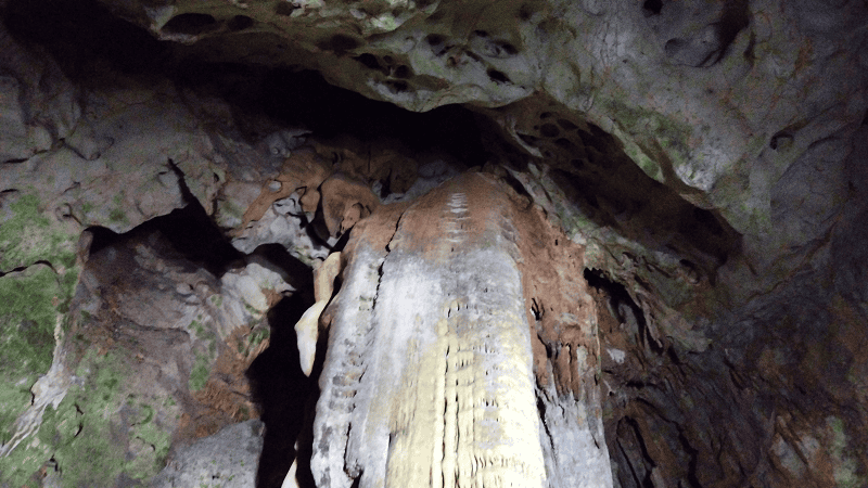 【山口美禰】山口縣最知名的景點秋芳洞日本三大鐘乳之一、高