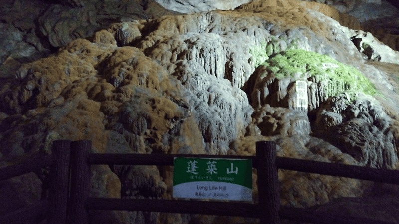 【山口美禰】山口縣最知名的景點秋芳洞日本三大鐘乳之一、高