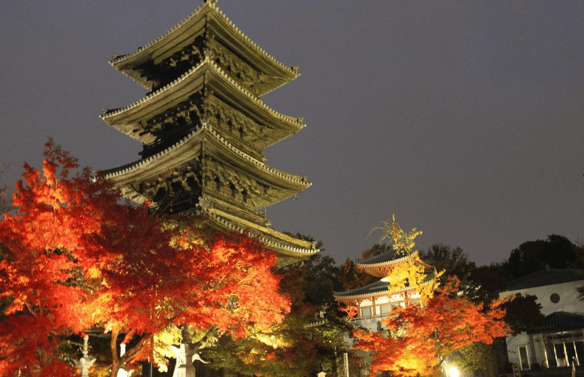 【愛知】名古屋及愛知縣境內的賞楓10大名所除了香嵐溪之外還