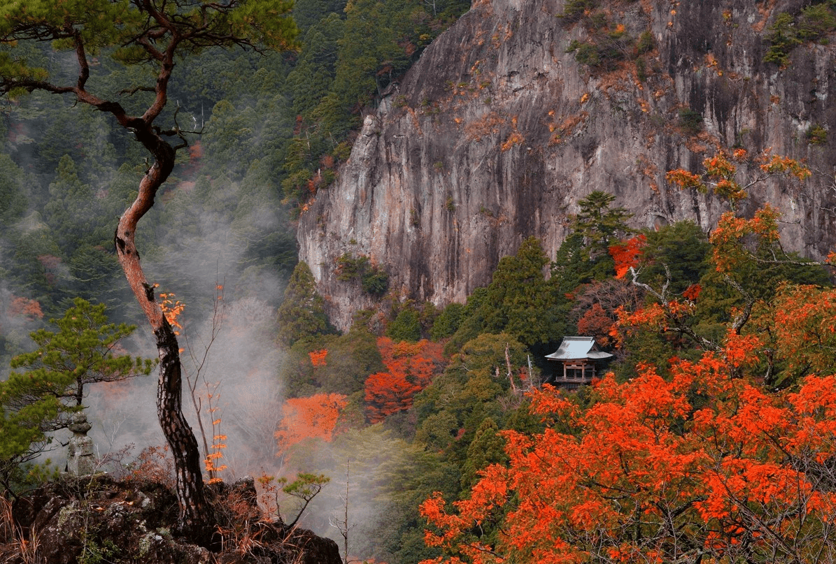 【愛知】名古屋及愛知縣境內的賞楓10大名所除了香嵐溪之外還