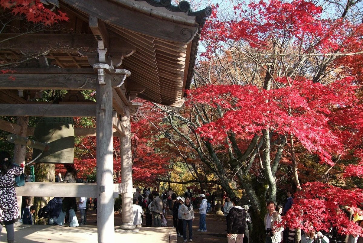 【愛知】名古屋及愛知縣境內的賞楓10大名所除了香嵐溪之外還