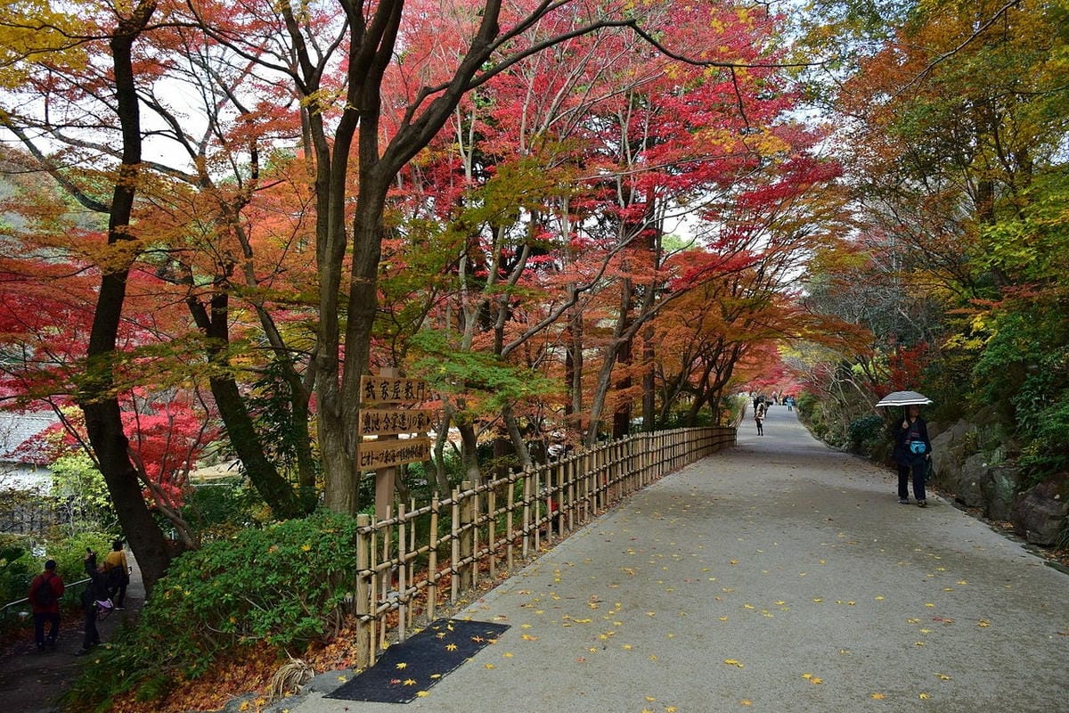 【愛知】名古屋及愛知縣境內的賞楓10大名所除了香嵐溪之外還