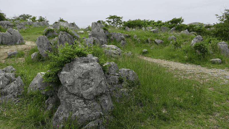 【山口美禰】喀斯特地形秋吉台 【山口美禰】喀斯特地形秋吉台